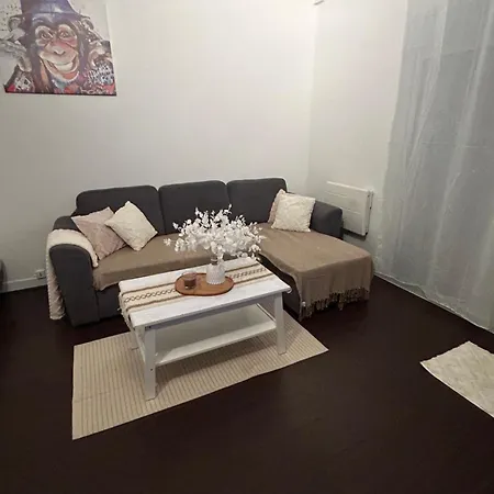 Studio, 10 Minutes D'orly / 20 Minutes De Paris Wissous